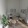 a living room with a couch and chairs